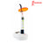 Woodpecker Curing Light LED.C